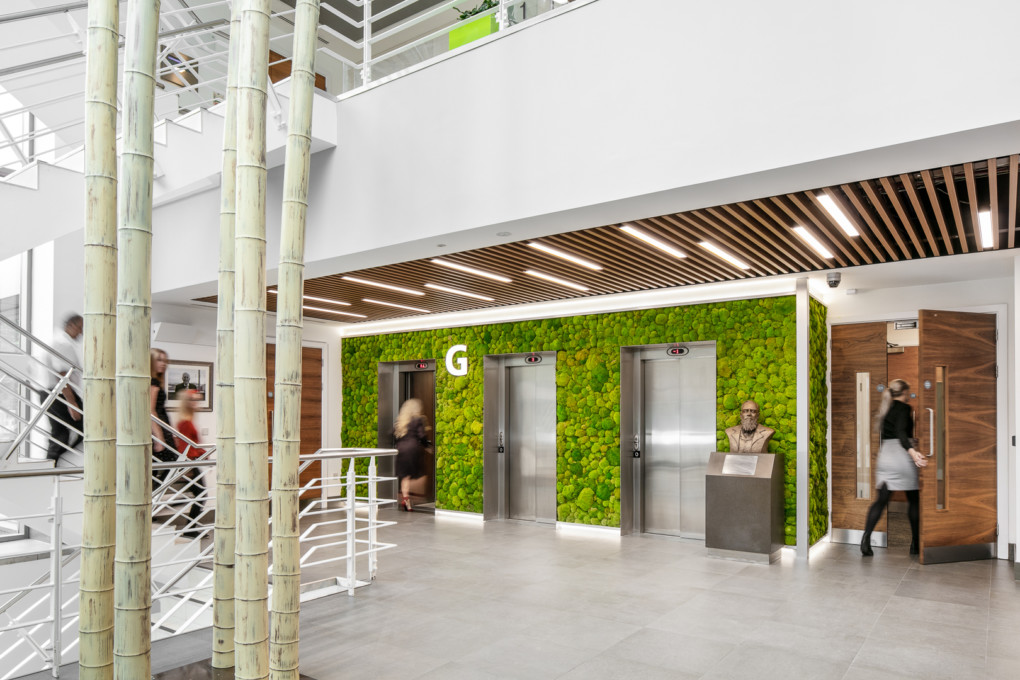 AFL Architects Morson Office Refurbishment 9